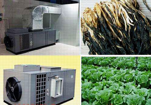 什么是食品烘干房？